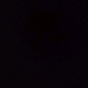 Meet your Posher, Adela